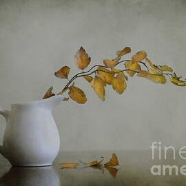 Autumn still life by Diana Kraleva