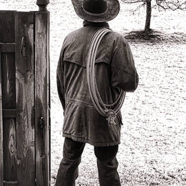 Back to Work by Olivier Le Queinec