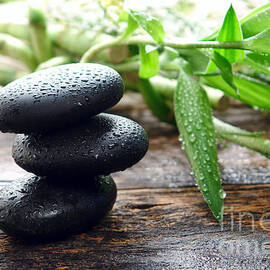 Balance  by Olivier Le Queinec