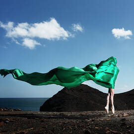 Ballerina In Lace by Henrik Sorensen