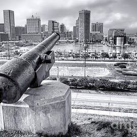 Baltimore Inner Harbor Skyline by Olivier Le Queinec