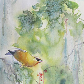 Cedar Waxwing by Amanda Amend