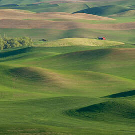 Barn Among the Contours by Mary Lee Dereske
