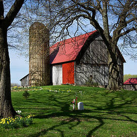 Barn with Silo in Springtime by Mary Lee Dereske