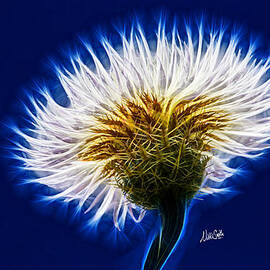 Basket Flower Inner Beauty by Nikki Marie Smith