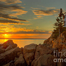 Bass Harbor Head Light at Sunset I by Clarence Holmes