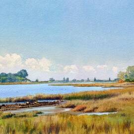 Batiquitos Lagoon Marshland by Mary Helmreich