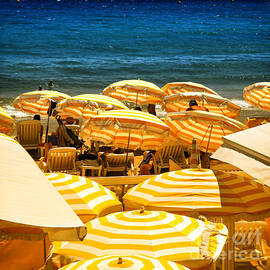 Beach in Cannes  by Elena Elisseeva
