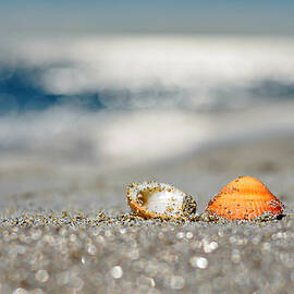 beach lovers by Laura Fasulo