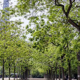 Beautiful Paris in Spring by Georgia Clare