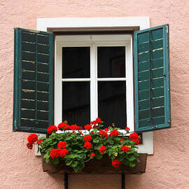 Beautiful window with flower box and shutters by Sue Leonard