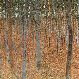 Beech Grove  by Georgia Clare