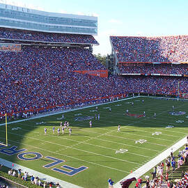 Ben Hill Griffin Stadium by Georgia Clare