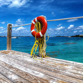 Bermuda Lifebelt Bite by Richard Reeve