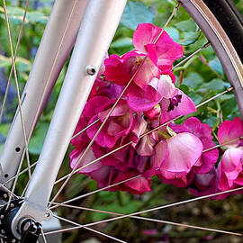 Bespoke Flower Arrangement by Rona Black