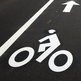 Bicycle Lane by Olivier Le Queinec