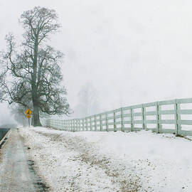 Big Tree in Snow Storm by Louis Dallara
