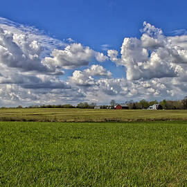 Billow Skies on Green by Bill and Linda Tiepelman
