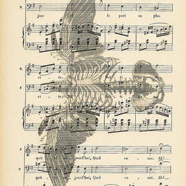 Bird Music by Georgia Clare