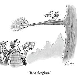 Bird Watchers Spot A Bird Wearing A Thong by Mike Twohy