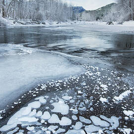 Birkenhead River In Winter British by Alan Majchrowicz