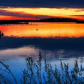 Blackwater by Olivier Le Queinec