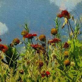 Blanketing the Sky by Jeffrey Kolker