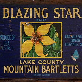 Blazing Star Pears Crate Label by Richard Reeve