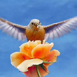 Bless  you by Jean Noren