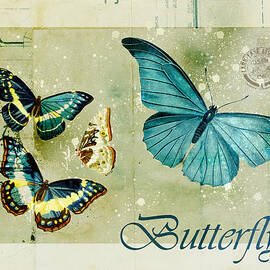 Blue Butterfly - s55c01 by Variance Collections