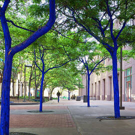 Blue Tree Walkway by Mary Lee Dereske