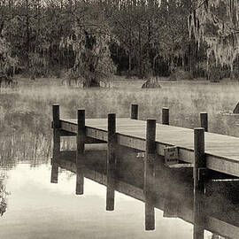 Boat Dock Caddo Lake by Mary Lee Dereske