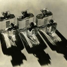 Bottles Of Lucretia Allen Perfume by Lusha Nelson