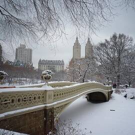 Bow Bridge Central Park in Winter  by Vivienne Gucwa