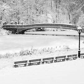 Bow Bridge Central Park Winter Wonderland BW by Susan Candelario