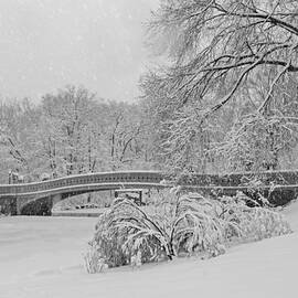 Bow Bridge In Central Park During Snowstorm BW by Susan Candelario
