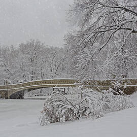 Bow Bridge In Central Park During Snowstorm by Susan Candelario