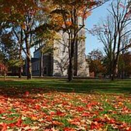 Bowdoin College by Georgia Clare