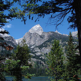 Bradley Lake by Stacy Abbott