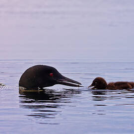 Breakfast With Daddy by Jeff Sinon