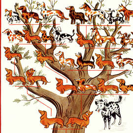 New Yorker February 12, 1938 by Constantin Alajalov