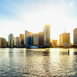 Bright Sunshiny Day by Sky Noir Photography By Bill Dickinson