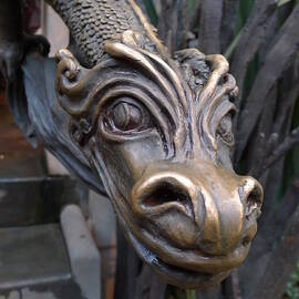 Bronze Dragon by Richard Reeve