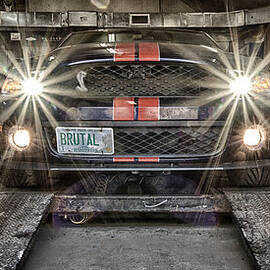 Brutal by Jeff Sinon