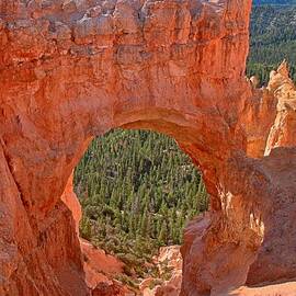 Bryce Pink Arch by Adam Jewell