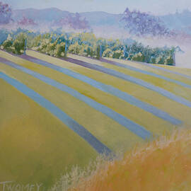 Buck Mountain Vineyards No.2 by Catherine Twomey