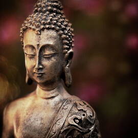 Buddha Bokeh by By Sigi Kolbe