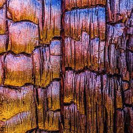 Burnt Tree Detail by Alexander Kunz