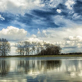 Busch Bare Reflections by Bill and Linda Tiepelman
