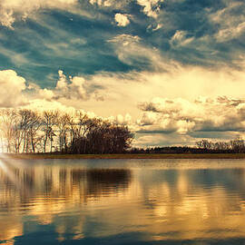 Busch Sunrise Behind Trees by Bill and Linda Tiepelman